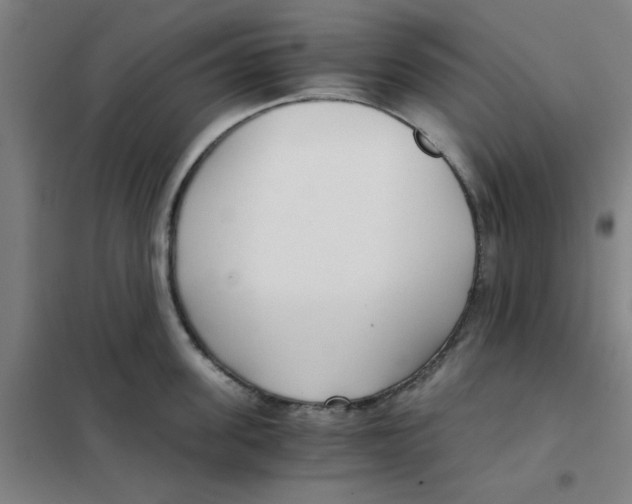 X0000101410955200808041101