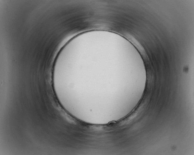X0000101410956200808041101