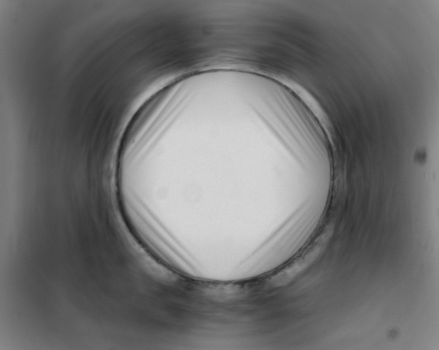 X0000101410957200808041101