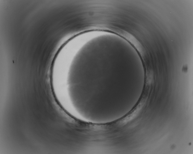 X0000101410958200808041101
