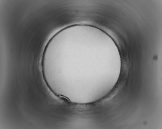 X0000101410959200808041101