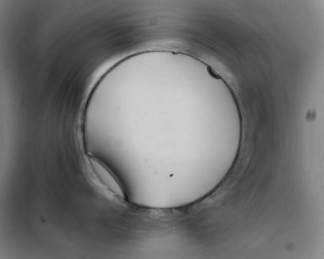 X0000101410960200808041101