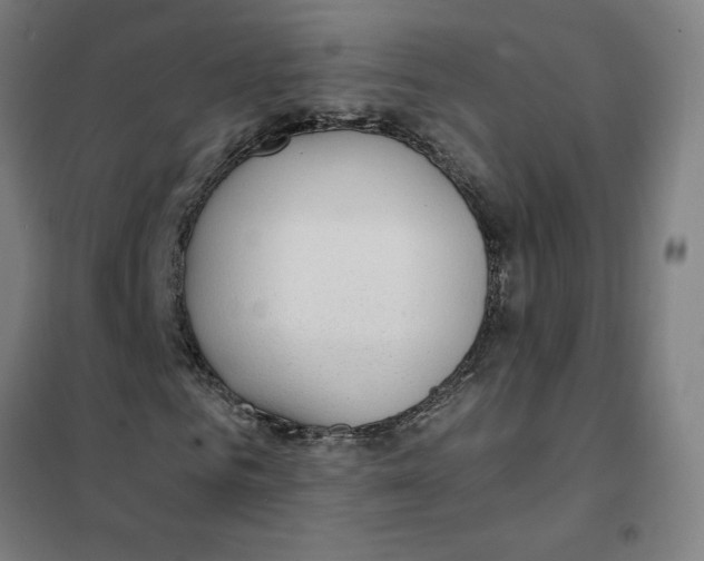 X0000101410961200808041100