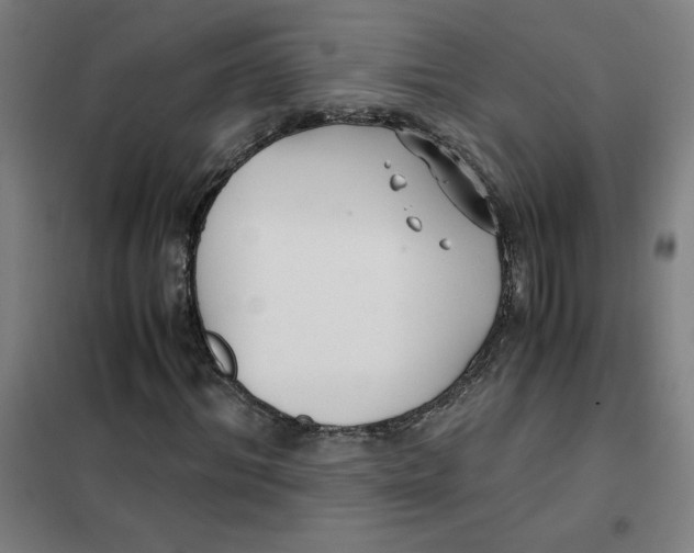 X0000101410964200808041100
