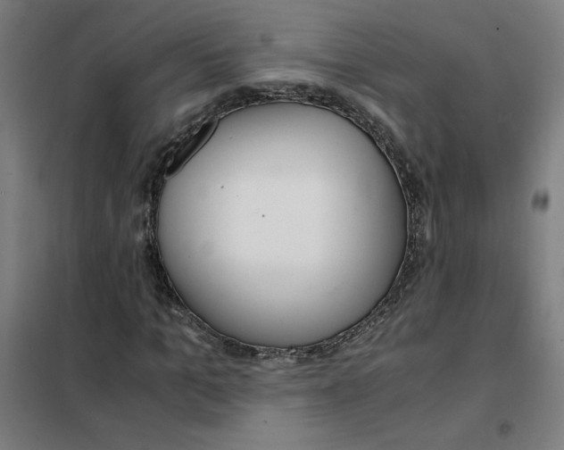 X0000101410965200808041100