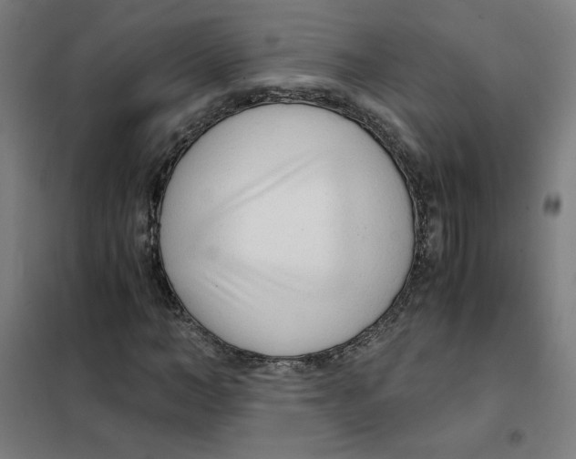 X0000101410966200808041100