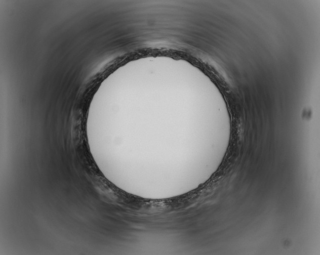 X0000101410968200808041100