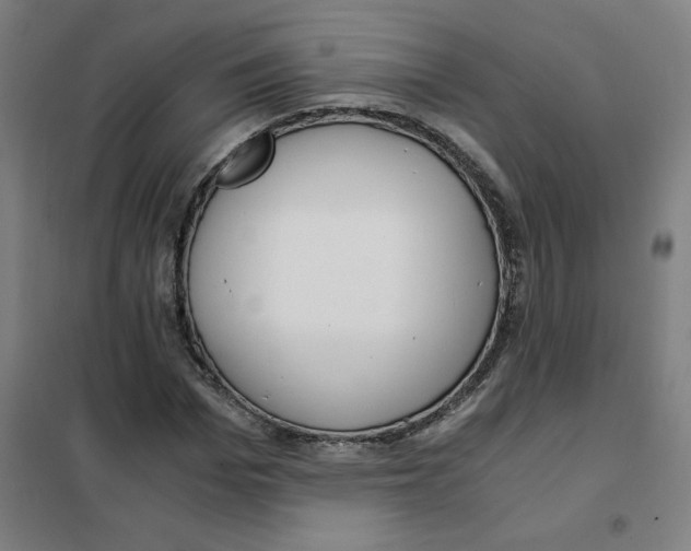 X0000101410969200808041100
