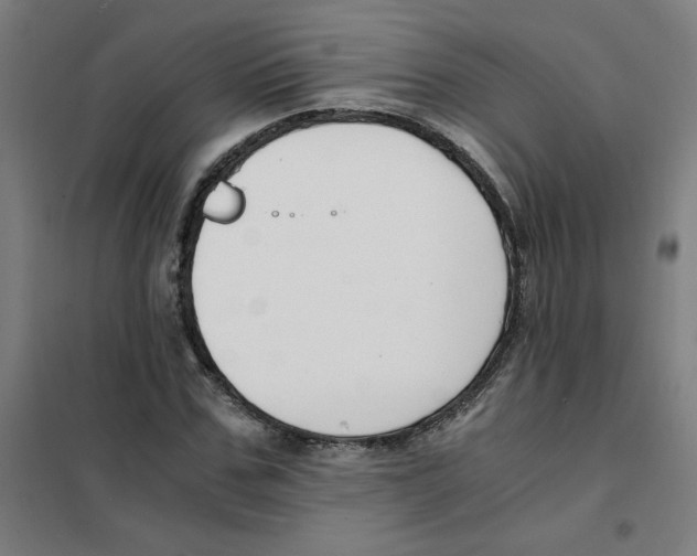 X0000101410971200808041100
