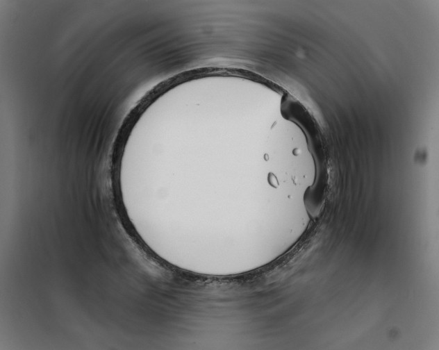 X0000101410972200808041100