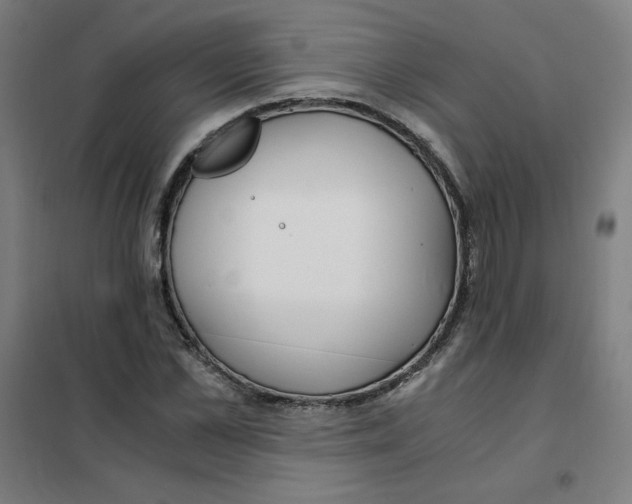 X0000101410973200808041100