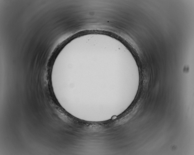 X0000101410974200808041100