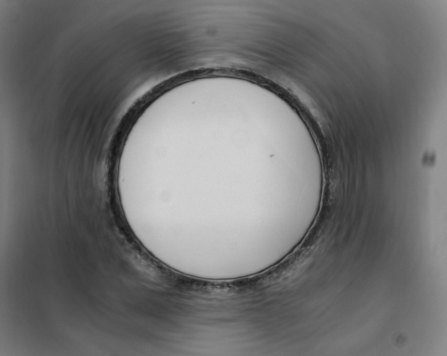 X0000101410975200808041100