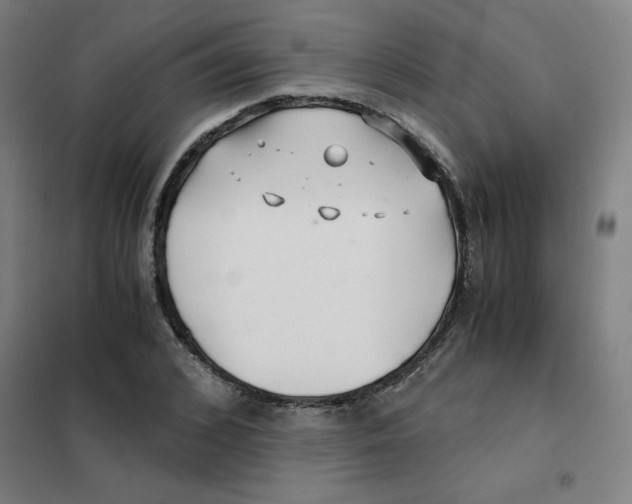 X0000101410976200808041100