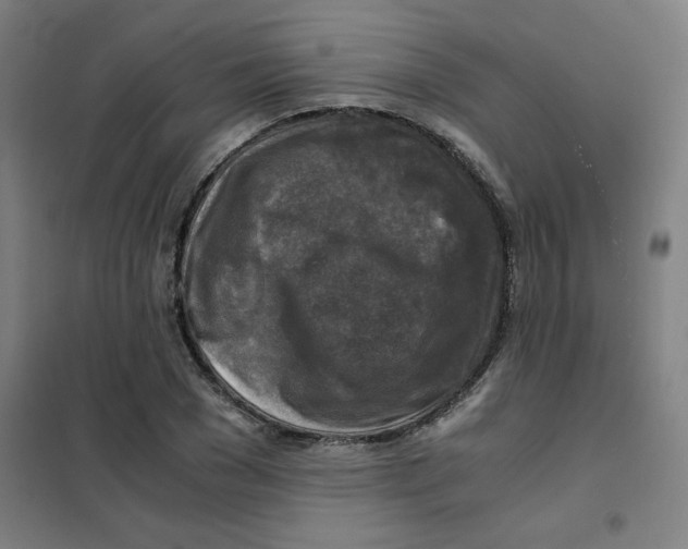 X0000101410977200808041100