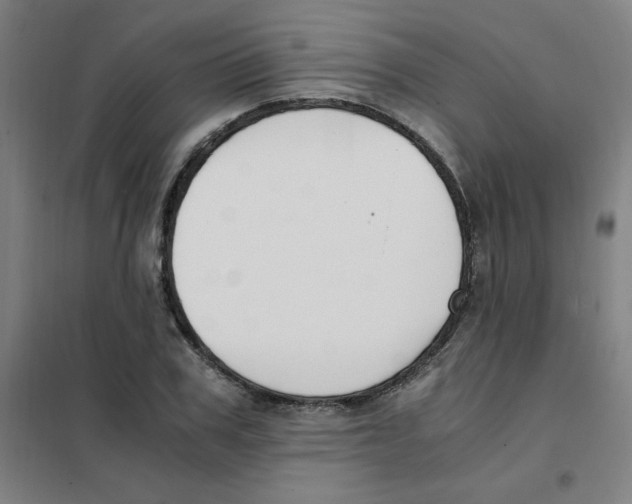 X0000101410979200808041100