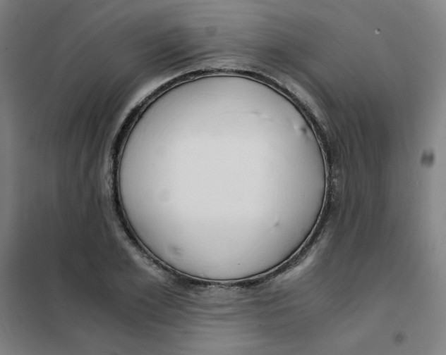 X0000101410981200808041100