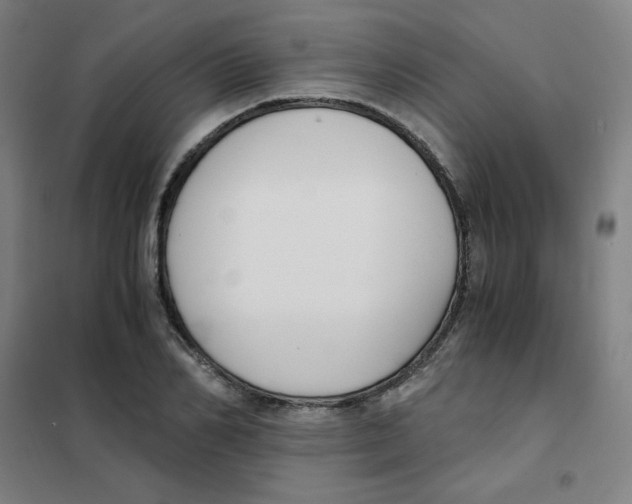 X0000101410982200808041100