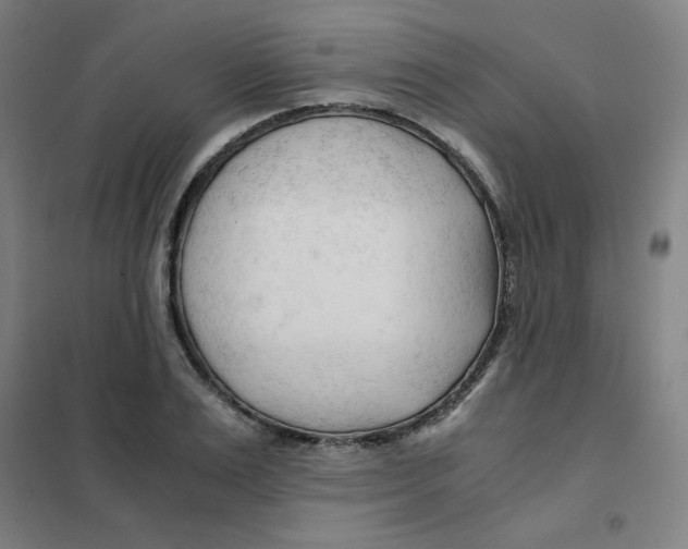 X0000101410983200808041100