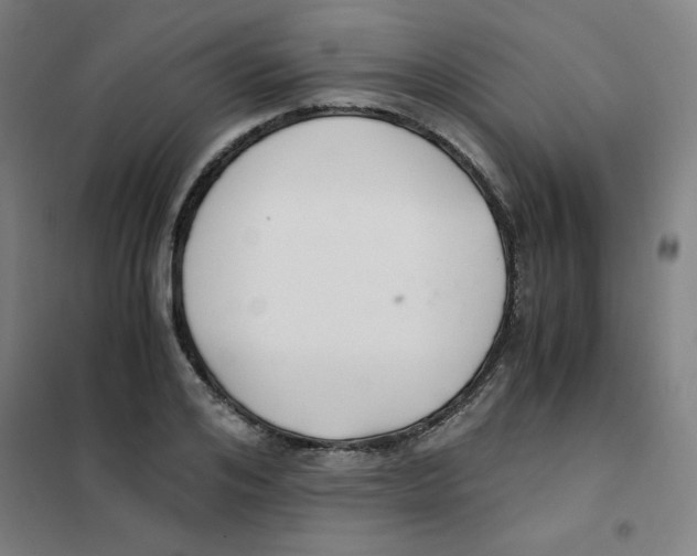 X0000101410984200808041100