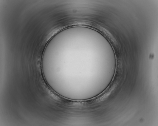 X0000101410985200808041100