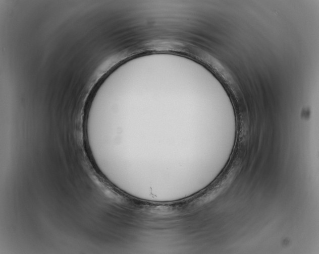 X0000101410986200808041100