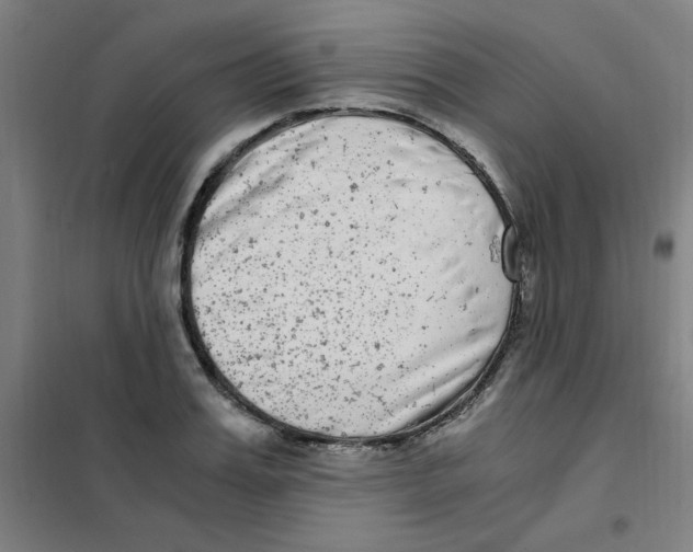 X0000101410987200808041100