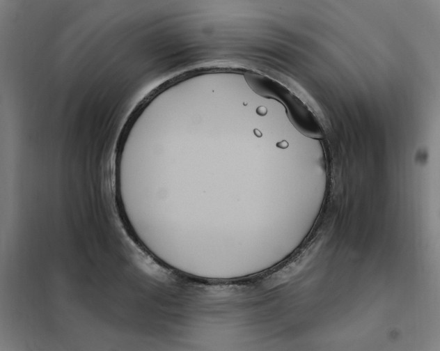 X0000101410988200808041100