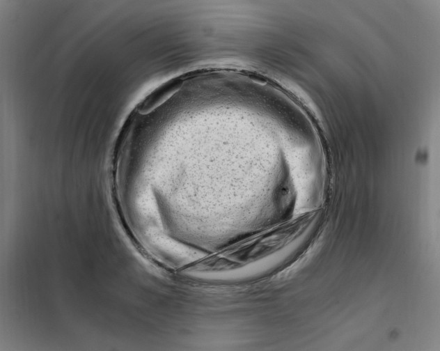X0000101410989200808041100