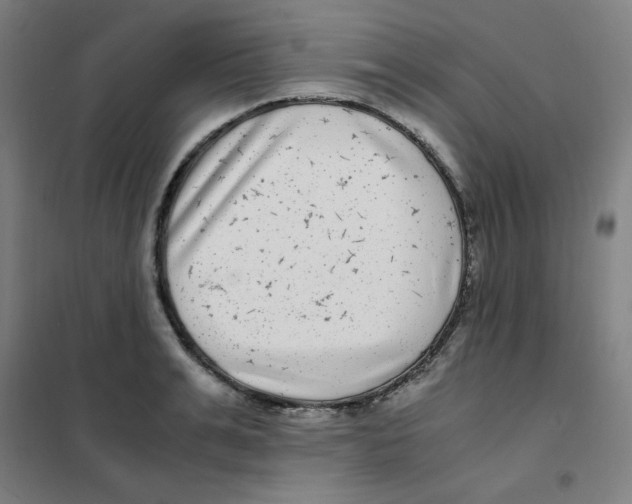 X0000101410991200808041100