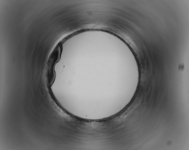 X0000101410992200808041100