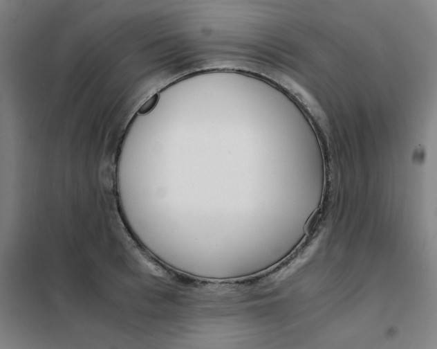 X0000101410993200808041100