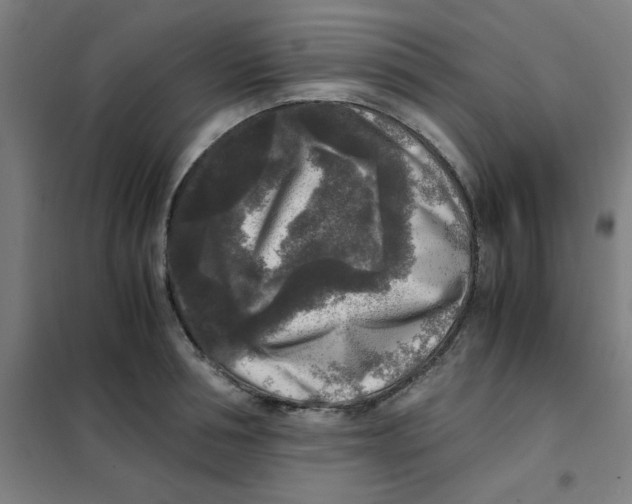 X0000101410994200808041100