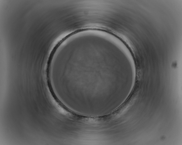 X0000101410995200808041100