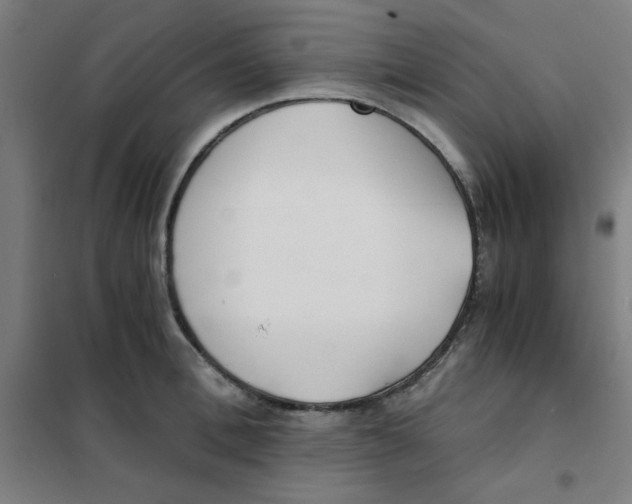 X0000101410996200808041100