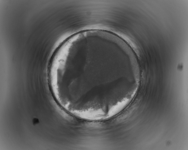 X0000101410998200808041100