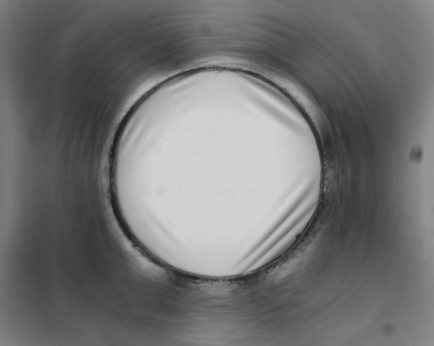 X0000101410999200808041100