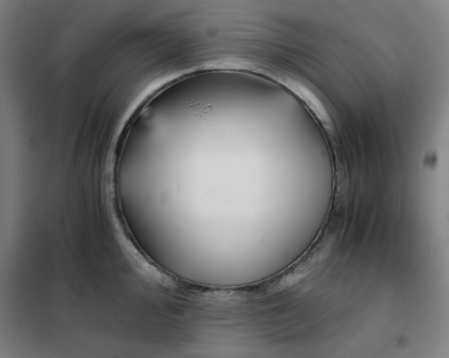 X0000101411000200808041100