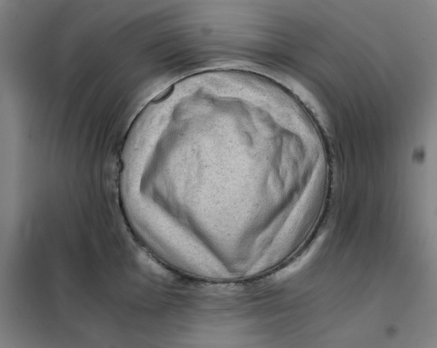 X0000101411001200808041100