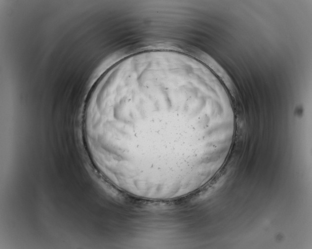 X0000101411002200808041100