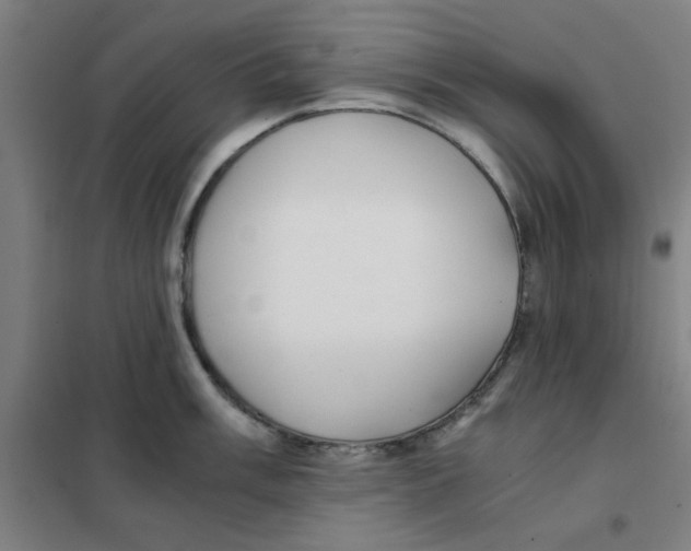 X0000101411003200808041100