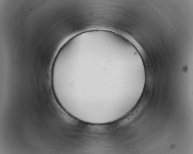 X0000101411004200808041100