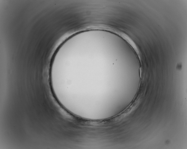 X0000101411005200808041100
