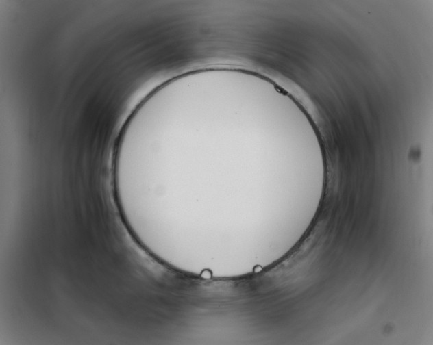 X0000101411006200808041100