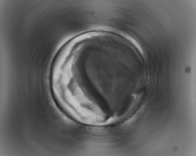 X0000101411007200808041100
