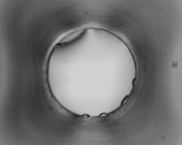 X0000101411008200808041100