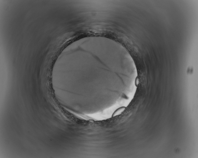 X0000101411009200808041059