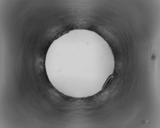 X0000101411010200808041059