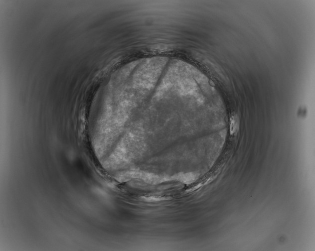 X0000101411011200808041059