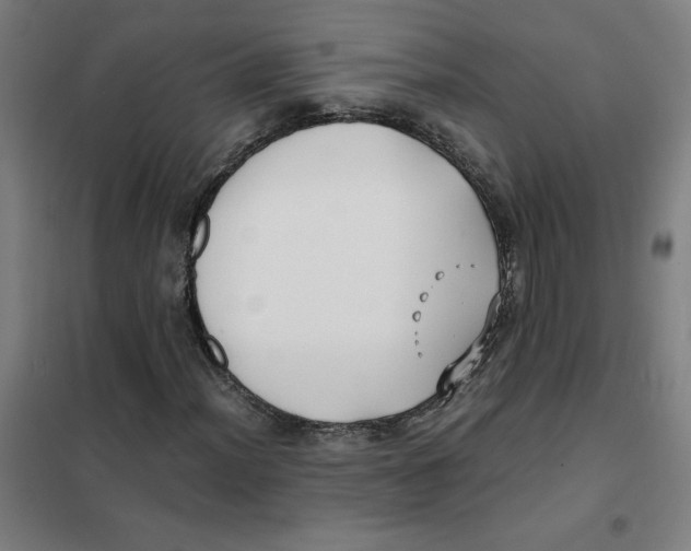 X0000101411012200808041059